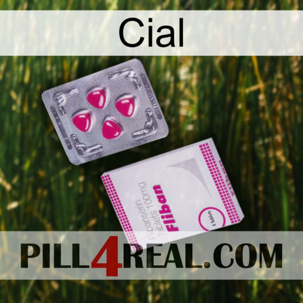 Cial 32.jpg